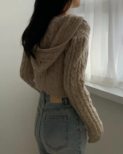 Cable Knit Hooded Sweater Wool Blend